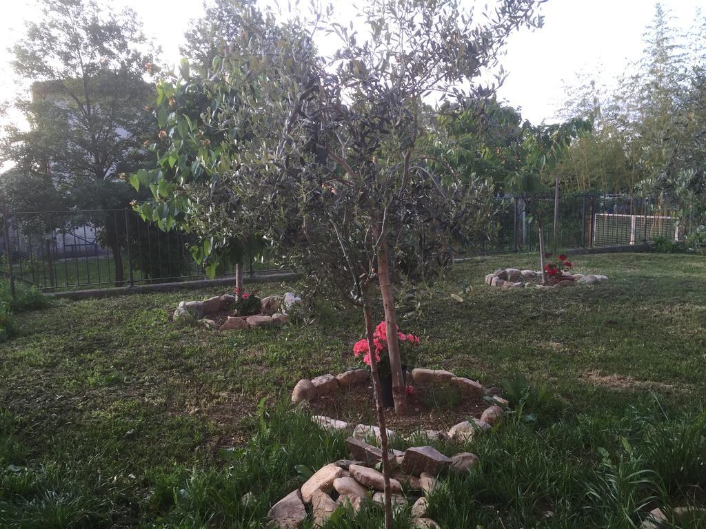 B&B San Giorgio Traversetolo Zewnętrze zdjęcie