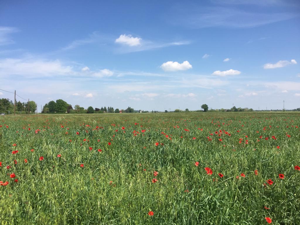 B&B San Giorgio Traversetolo Zewnętrze zdjęcie
