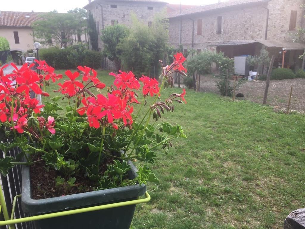 B&B San Giorgio Traversetolo Zewnętrze zdjęcie
