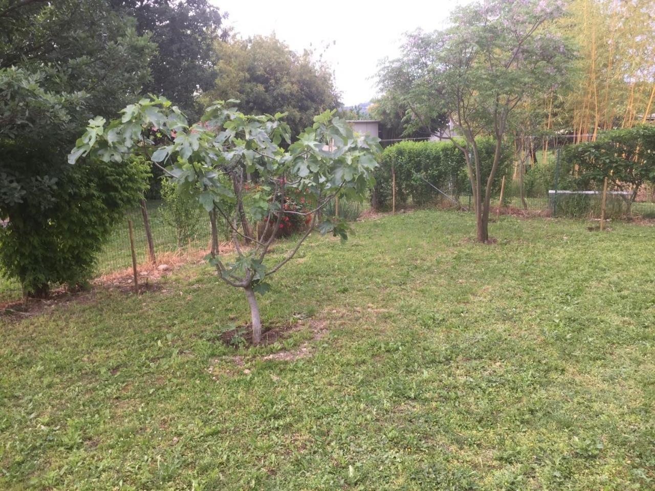 B&B San Giorgio Traversetolo Zewnętrze zdjęcie
