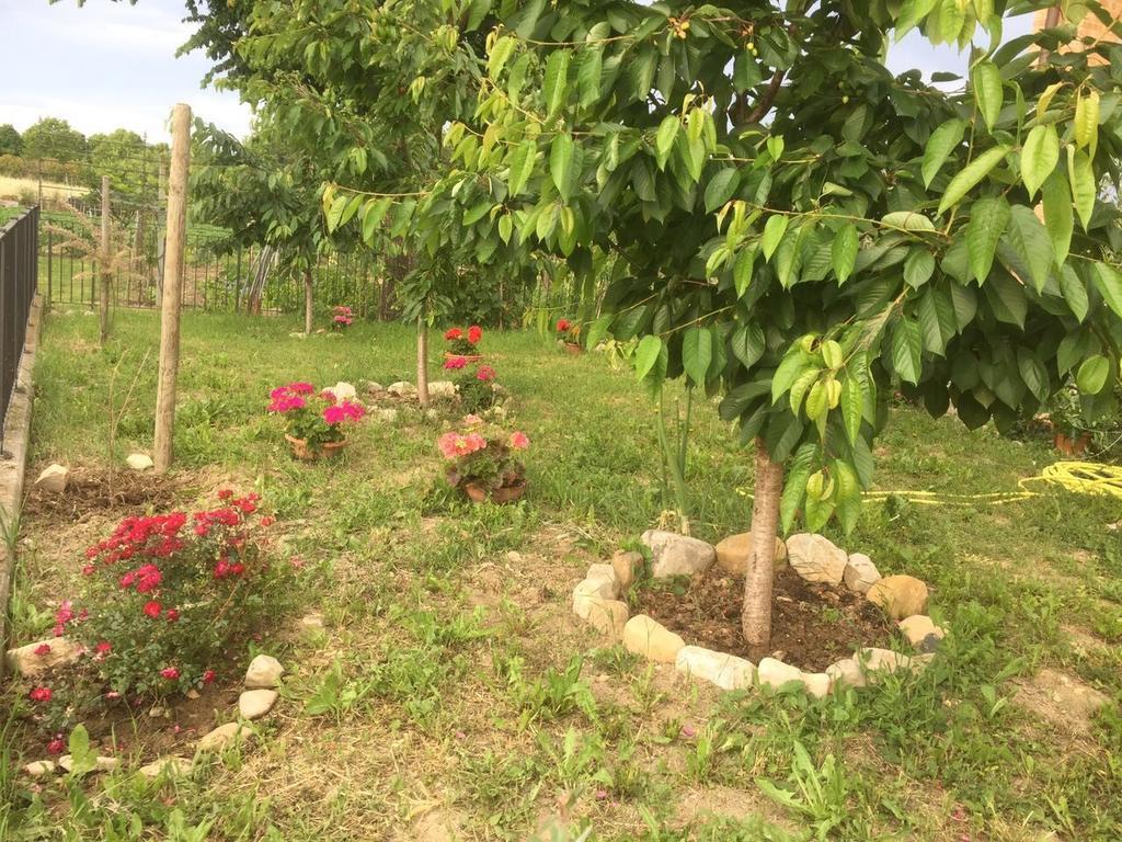 B&B San Giorgio Traversetolo Zewnętrze zdjęcie
